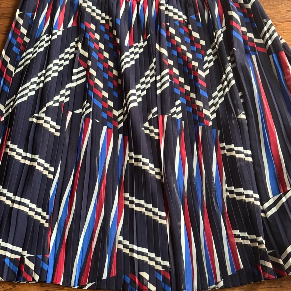 Roz & Ali Pleated‎ Abstract Skirt